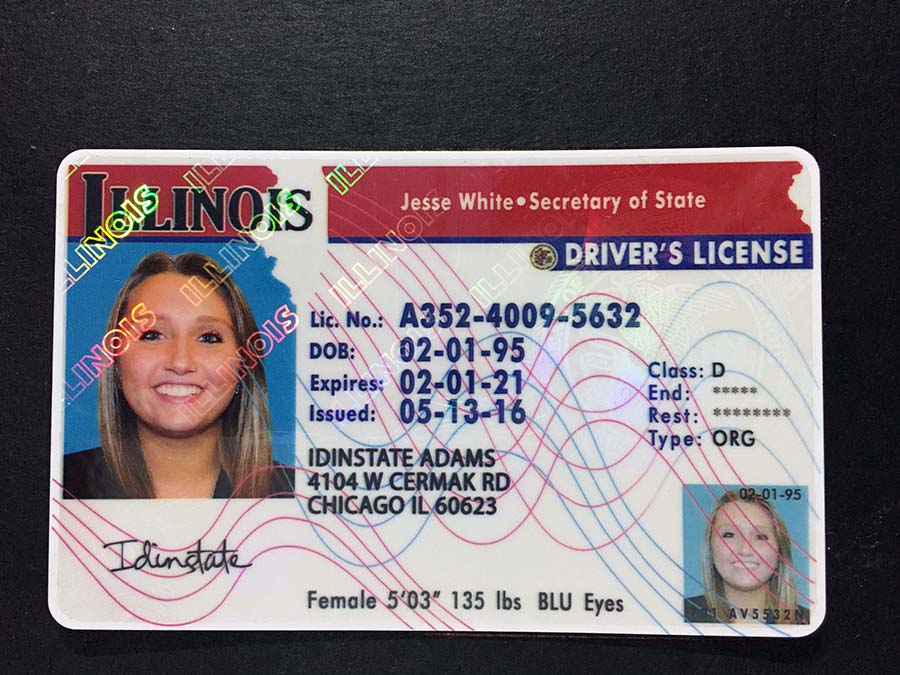 Illinois Fake Driver License