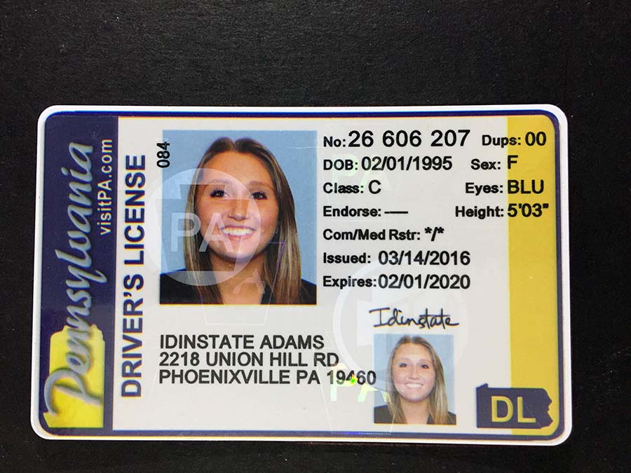 Pennsylvania Fake Driver license